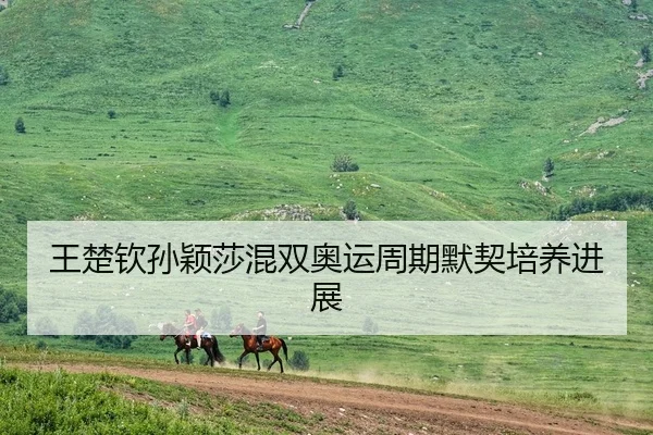 王楚钦孙颖莎混双奥运周期默契培养进展