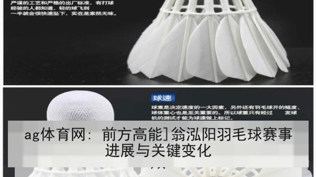 ag体育网: 前方高能]翁泓阳羽毛球赛事进展与关键变化