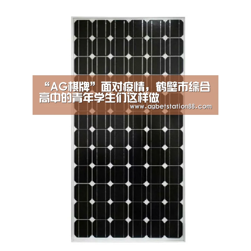 “AG棋牌”面对疫情,鹤壁市综合高中的青年学生们这样做(图2) AG官网