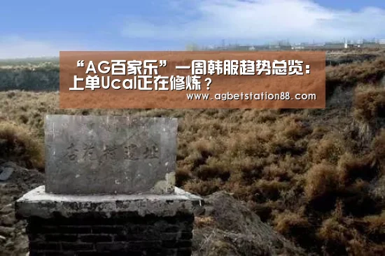 AG官网