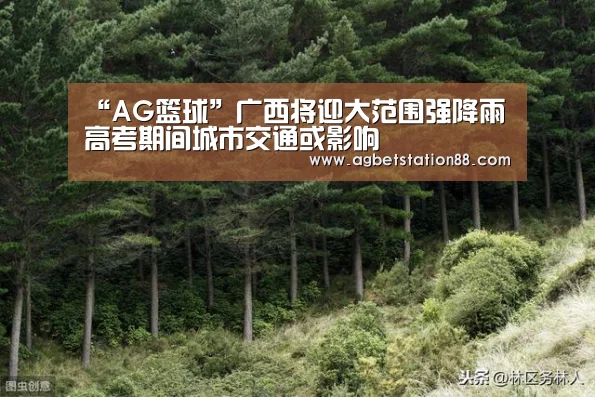 AG棋牌