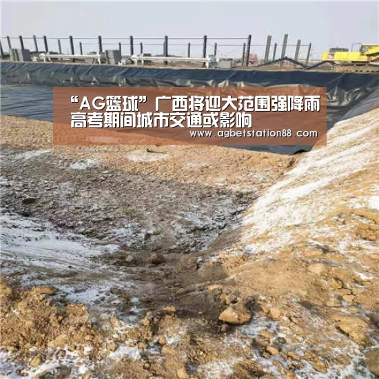 AG篮球