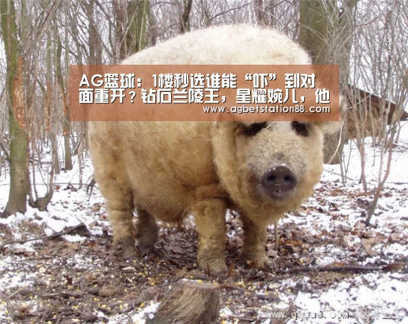 AG篮球