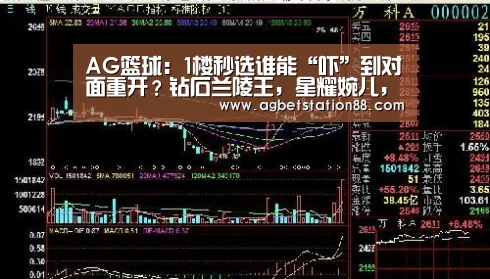 AG百家乐
